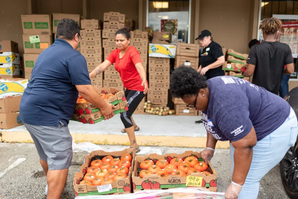 How to Organize a Food Drive: A Step-by-Step Guide for Volunteers